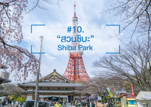 Shiba Park