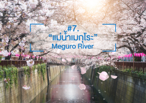 Meguro River
