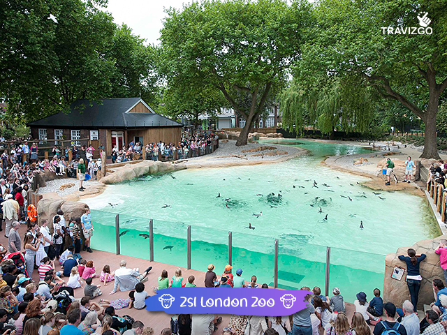 Zsl London Zoo